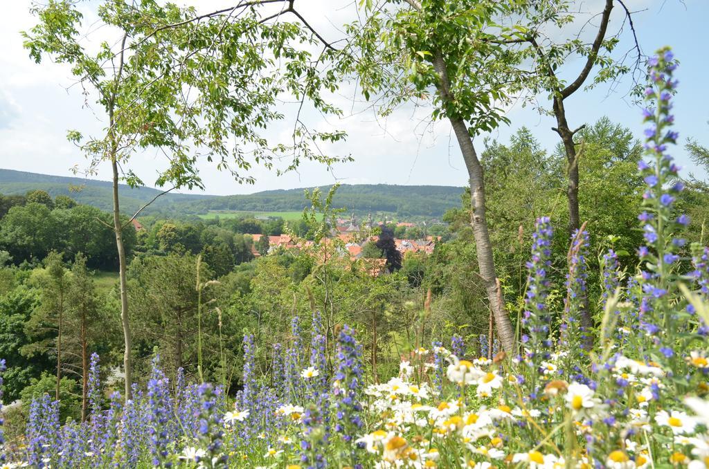 Wohlfuehlhotel Der Jaegerhof Willebadessen ภายนอก รูปภาพ